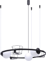 41202