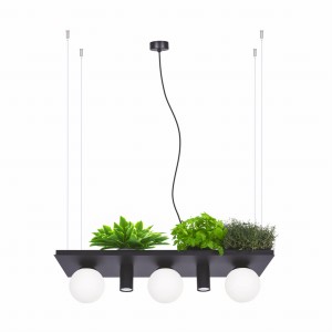 5555 PLANT SHELF LAMPA WISZĄCA CZARNA/BLACK Zuma Line
