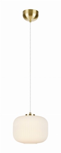 fcc2e6fdf61c8f2920a9afd11d87ca9a