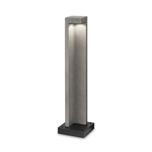4204