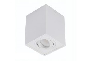 Lampa wewnętrzna / natynkowa ELOY 1 biały AZ0929 Azzardo