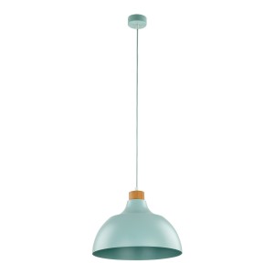 CAP MINT LAMPA WISZĄCA 1 PŁ 5901 TK Lighting
