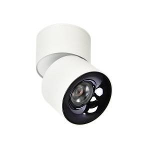 Ruchoma oprawa natynkowa Brema biała LED CCT Light Prestige