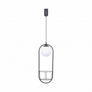 5003 PLANT 1 PENDANT LAMP Zuma Line