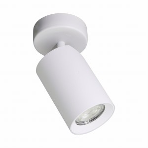 TLS006-WH TORE LAMPA SUFITOWA BIAŁA/WHITE Zuma Line