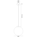 b385b8a033ca65a972ef4578fc565541