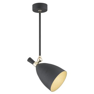 Lampa wisząca 1 pł. CHARLOTTE 4686 Argon