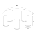 70c5d007c61490aaeea3e0d66eb5cb2b