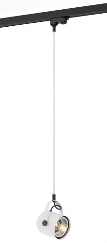 cf596def8ff443b12d8e31e9430bc264