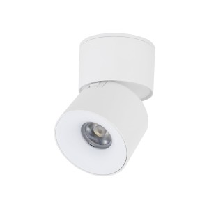 SPARK WHITE CCT 10W 18168 TK Lighting