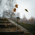 MAXLIGHT-T0066-Lampa-stolowa-Muffin-czarna-IP44 (2).jpg