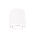 Maxlight-C0256-Lampa-Sufitowa-Fix-6W-Biala.jpg