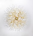 077a6c43ba561a04f7a3f1103cc98a2c