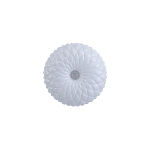 Auris  PLF-53749-S-CL Italux