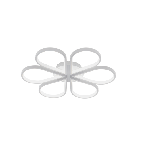 a516d731582f45407e5f8f7882a935fd