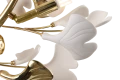 ac08b6ba0eb4bfcd41aea6f28e38876b