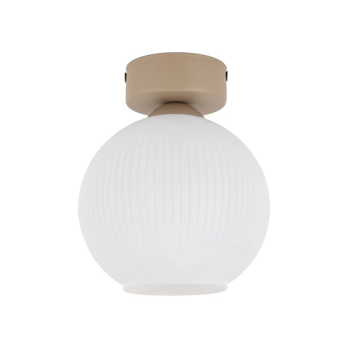 117df3d4d55b424c3fe28db644155606