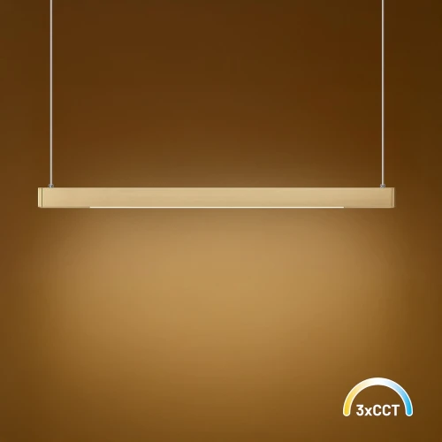 d3b5958a1fcb087cc2daec5826237b9b
