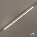 e659d090548d315563c141c408823b5c