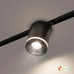 Magnetic Track 10mm Downlight 6W CCT 48V ML2647 Milagro
