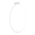 68664