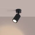 7f7ffd7c78fd12e325ec7c0fc337fe01