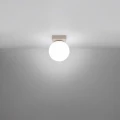 c555ed828db8fdbd42e5d6c21bf70dab