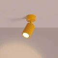ce8cfb33d8933a9ae47b20d54ad367ca