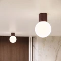 c73ba1004895504bdb15f9d0b5f5ff1a