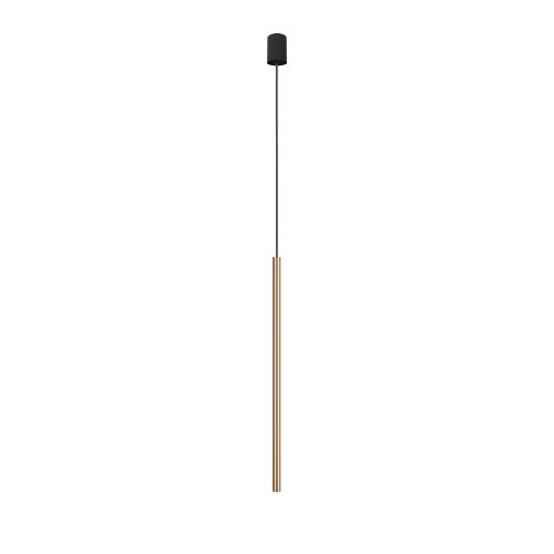3255