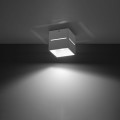 21f91aff5657cc1fc2149d3a2f885241